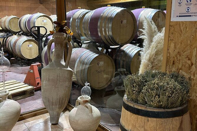 rhone-valley-wine-chocolate-tasting-private-day-tour-from-lyon