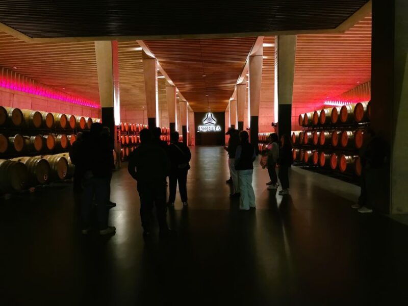 ribera-del-duero-wine-region-private-tour