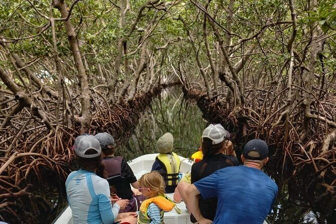 roatan-east-side-mangrove-tunnels-and-snorkel-adventure
