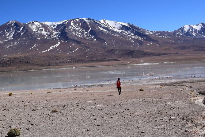 salar-de-uyuni-3-days-2nights-spanish-driver-guide