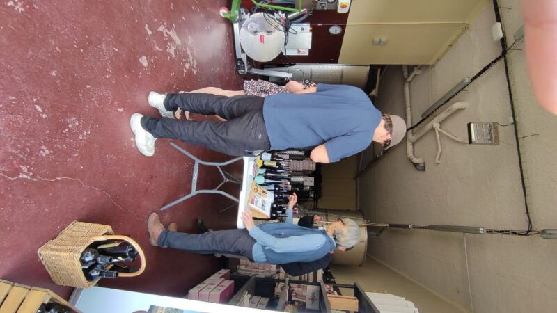 salou-priorat-tasting-wine-cellar-tour-with-hotel-pickup
