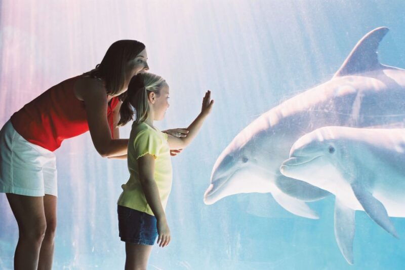 san-antonio-go-city-explorer-pass-with-25-attractions