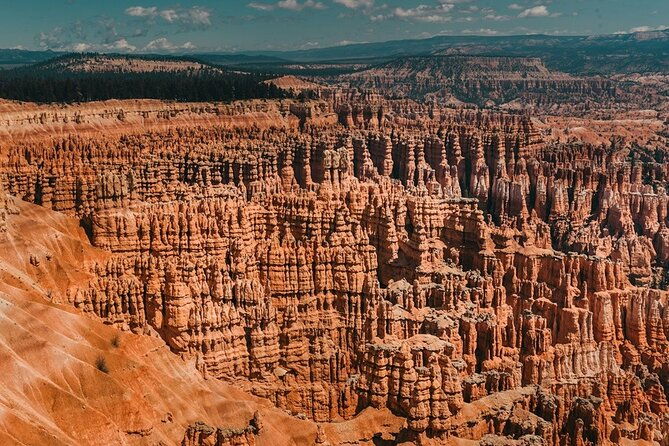 san-francisco-to-yellowstone-and-las-vegas-7-day-tour