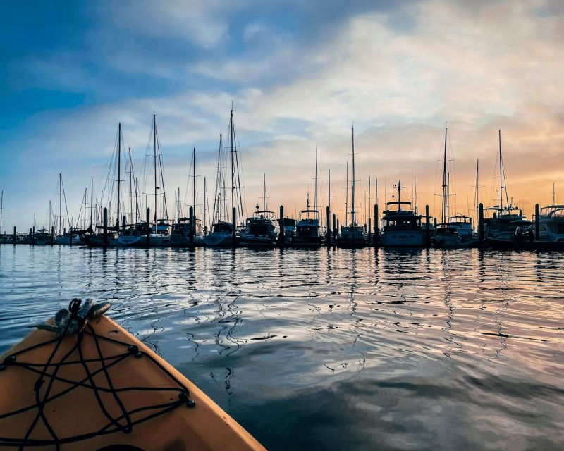 santa-barbara-harbor-sunset-kayak-tour-2-hours