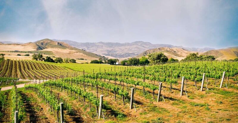 santa-barbara-wine-country-tour-with-lunch
