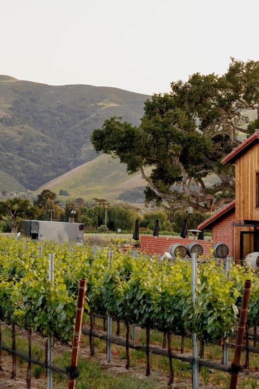 santa-barbara-wine-country-vineyards-villages-tour
