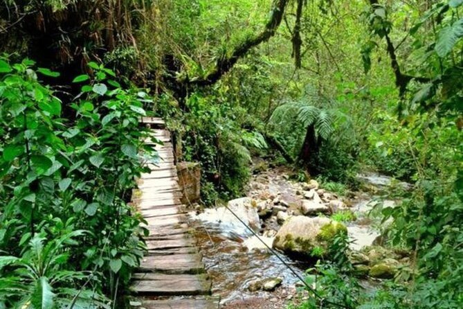santa-rita-waterfall-and-salento-hike-tour-2
