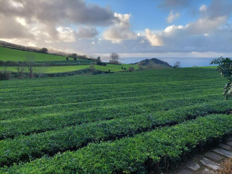 sao-miguel-furnas-full-day-tour-with-lunch-included