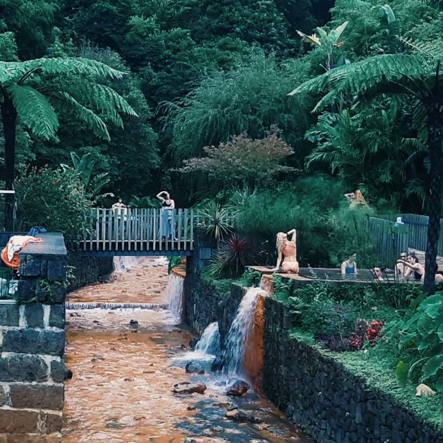 sao-miguel-furnas-volcano-tea-plantation-tour-lunch