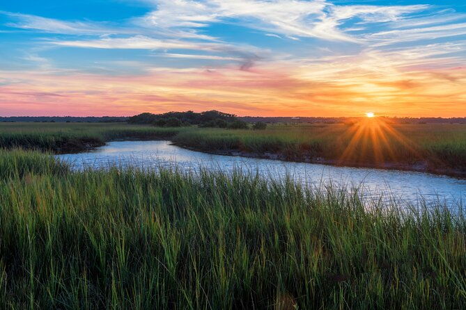 savannah-coastal-dolphin-eco-tour