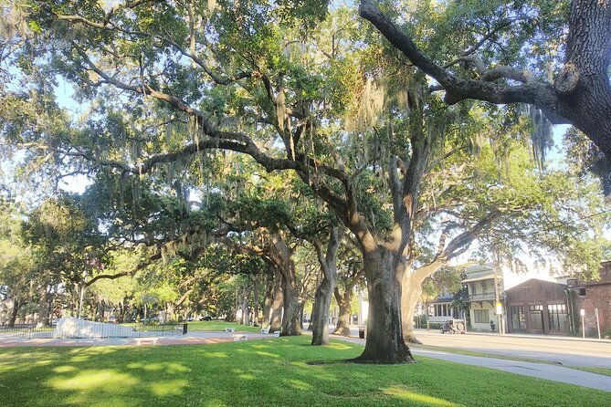 savannah-irish-history-walking-tour