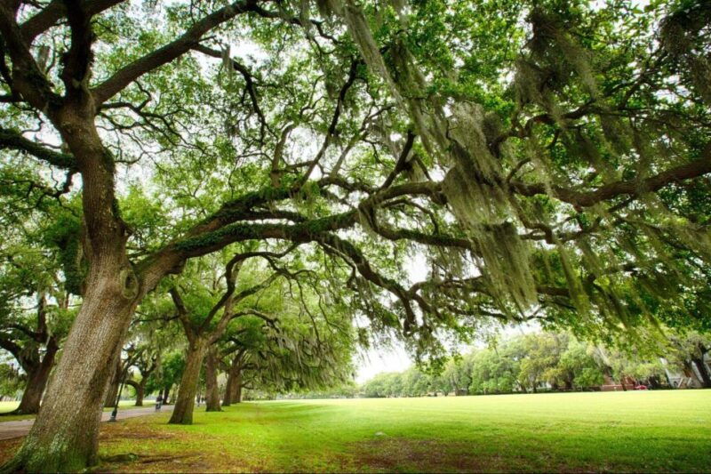 savannah-riverboat-cruise-city-tour-combo