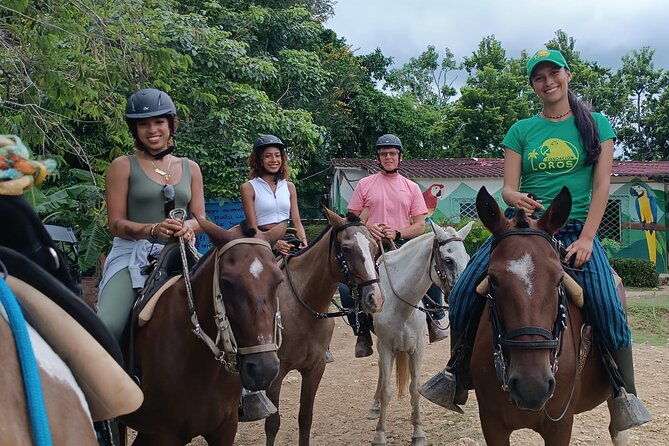scenic-horseback-ride-in-tropical-mountain-reserve