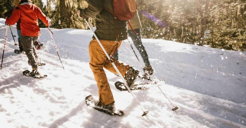 seattle-longmire-in-mount-rainier-winter-day-tour