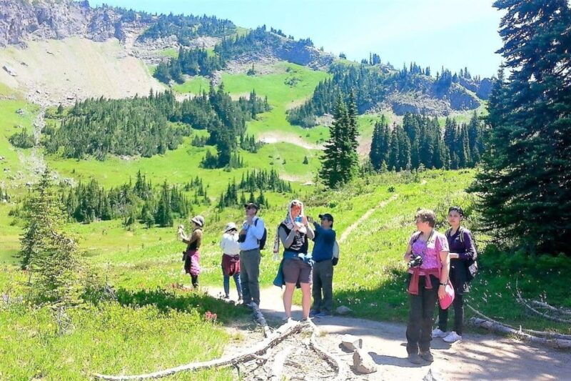 seattle-mount-rainier-park-all-inclusive-small-group-tour