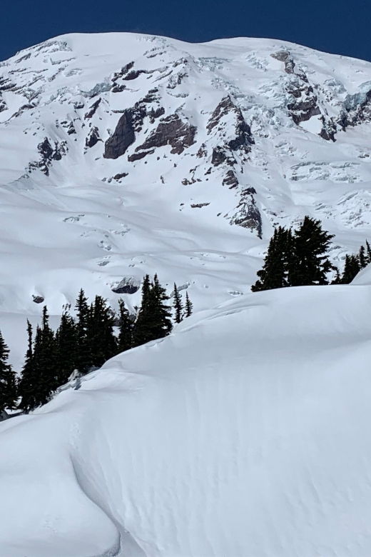 seattle-mt-rainier-hiking-w-waterfalls-glaciers-trees