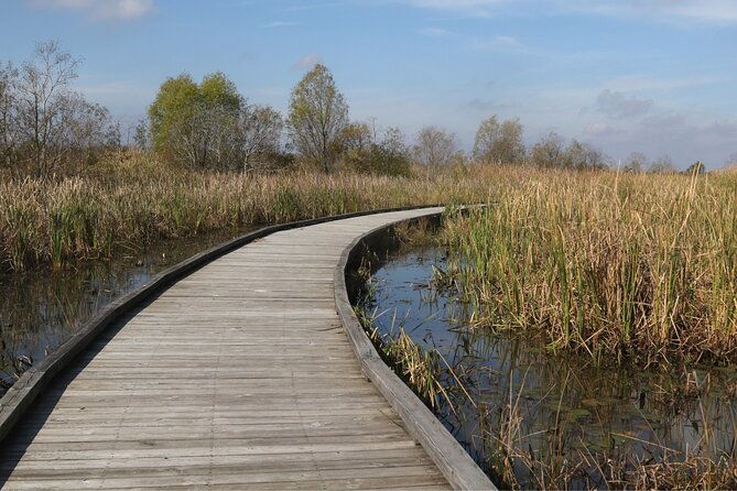 self-guided-audio-driving-tour-in-creole-nature-trail