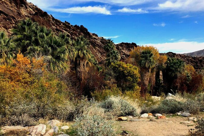 self-guided-driving-audio-tour-of-palm-springs