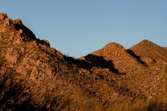 self-guided-driving-audio-tour-of-saguaro-national-park