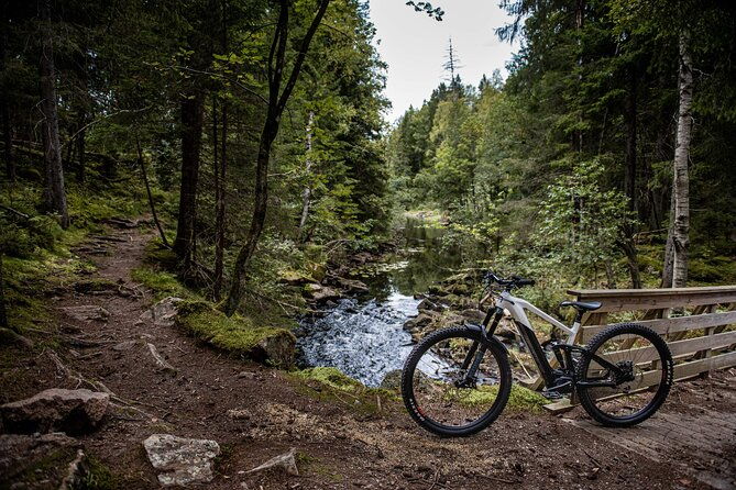 self-guided-electric-mountain-bike-ride-on-trails-in-oslo