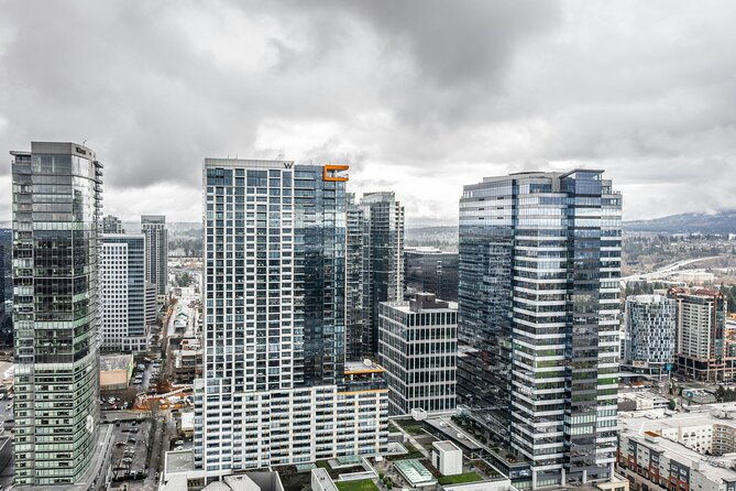 self-guided-scavenger-hunt-beautiful-views-of-bellevue