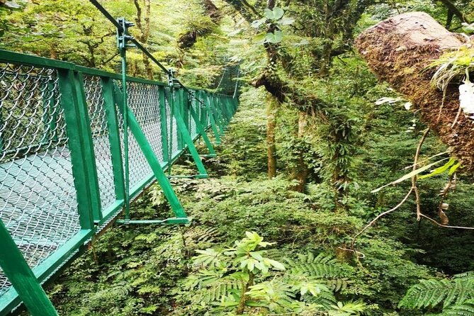 selvatura-hanging-bridges-admission-ticket