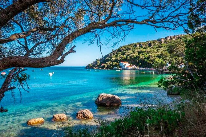 setubal-private-tour-including-dolphin-watching