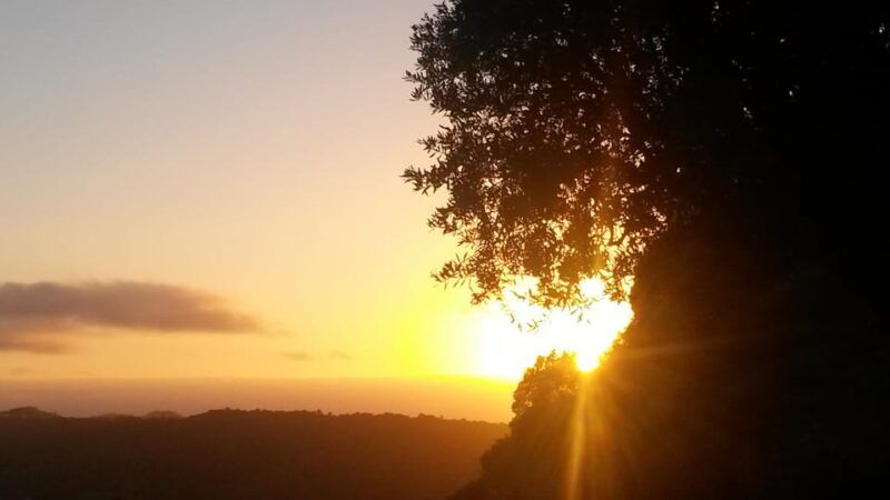 setubal-romantic-picnic-sunset-wine-experience