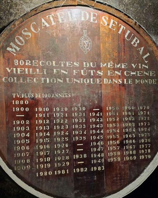 setubal-wine-tour-discover-the-moscatel-wine