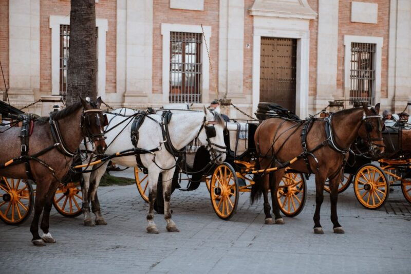 seville-jewish-quarter-walking-tour-santa-cruz-district