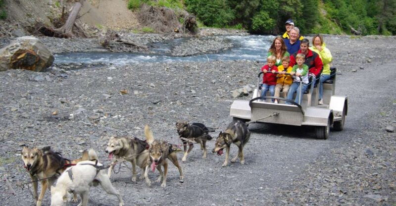 seward-summer-dog-sled-ride-and-seavey-estate-tour