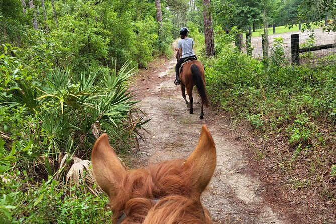 shaded-trails-horse-ride