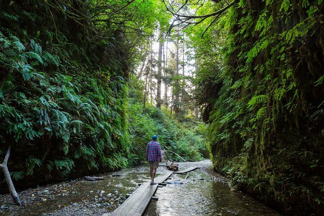 shaka-guide-redwood-national-park-audio-tour-guide