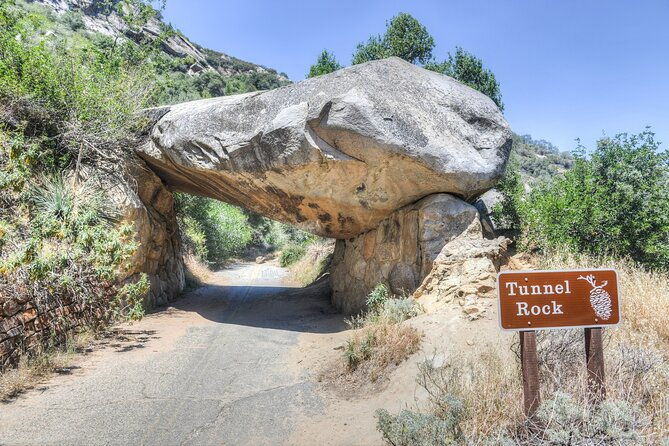 shaka-guide-sequoia-national-park-audio-tour-guide