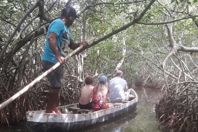 shared-cartagena-mud-volcano-mangrove-tour-including-lunch