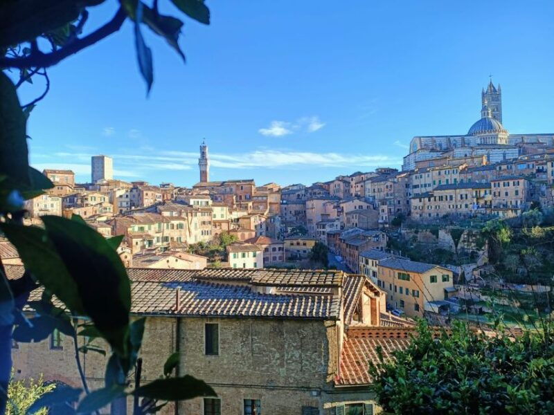 siena-food-tour-and-chianti-wine