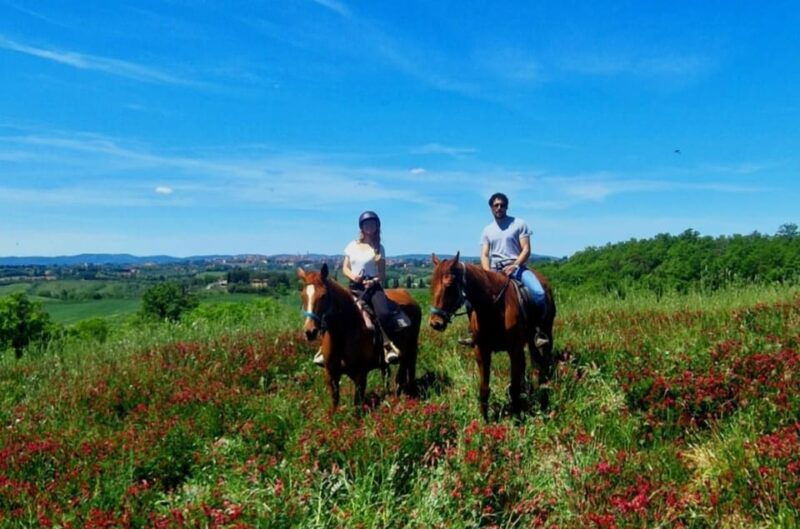 siena-horseback-riding-tour-in-the-tuscany-countryside