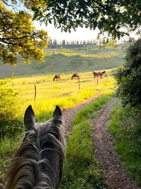 siena-horseback-riding-with-siena-in-the-background