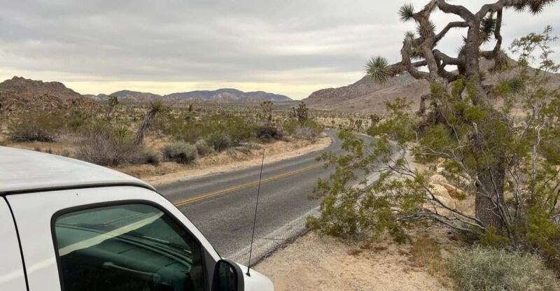 sightseeing-adventure-tour-of-joshua-tree-park-max-10
