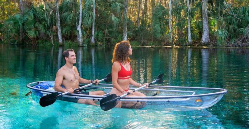 silver-springs-clear-kayak-wildlife-tour