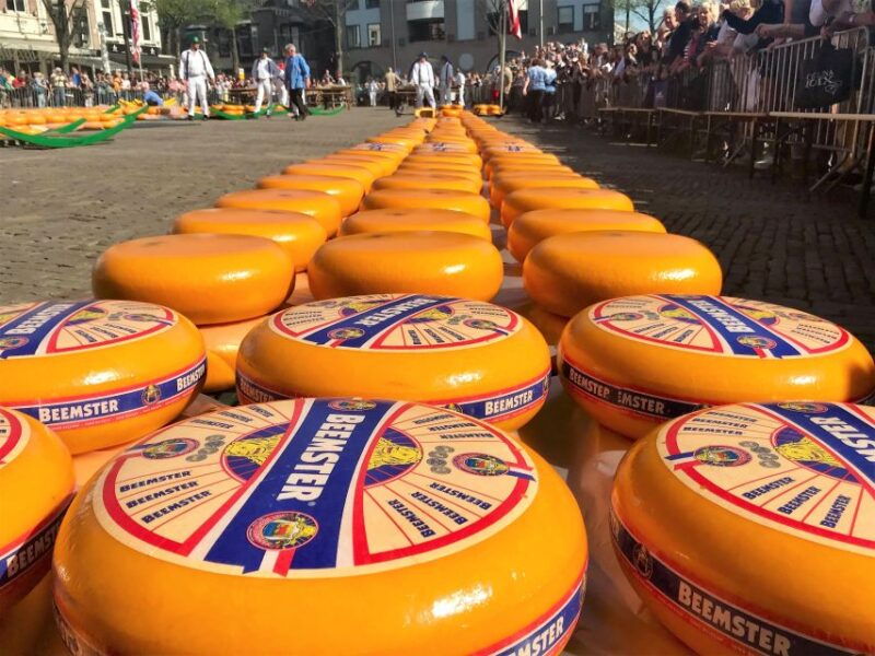 small-group-alkmaar-cheese-market-and-city-tour-english
