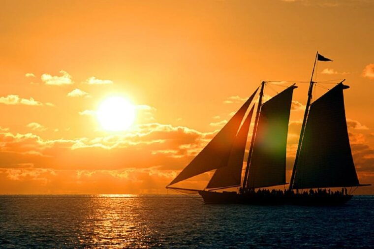 small-group-miami-and-everglades-national-park-1-day-tour
