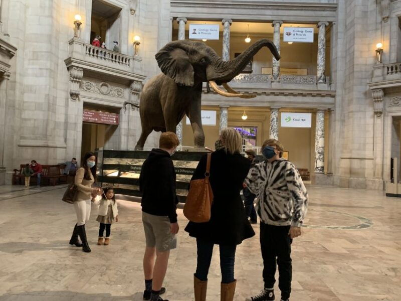 smithsonian-national-museum-of-natural-history-guided-tour