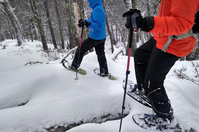 snow-excursion-in-bariloche-suitable-for-the-whole-family