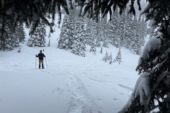 snowshoeing-at-crystal-mountain-by-mount-rainier