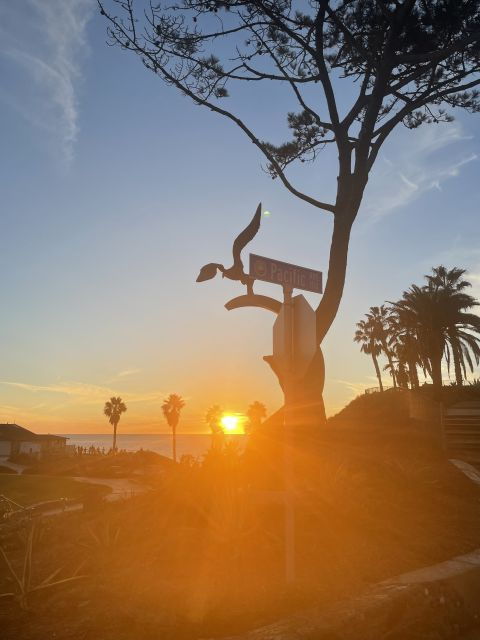 solana-beach-surfboard-rentals