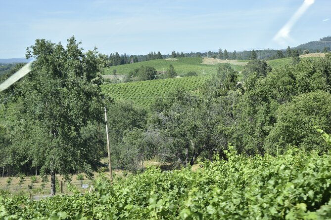 sonoma-and-napa-wine-tour-private-tours-8-to-10-hours-max-14-pax