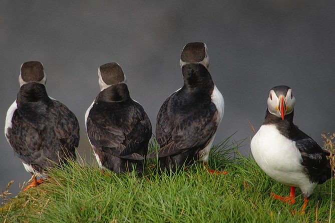 south-coast-of-iceland-tour-with-a-professional-photographer