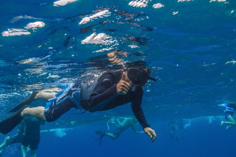 south-maui-lanai-snorkel-dolphin-watch-from-maalaea