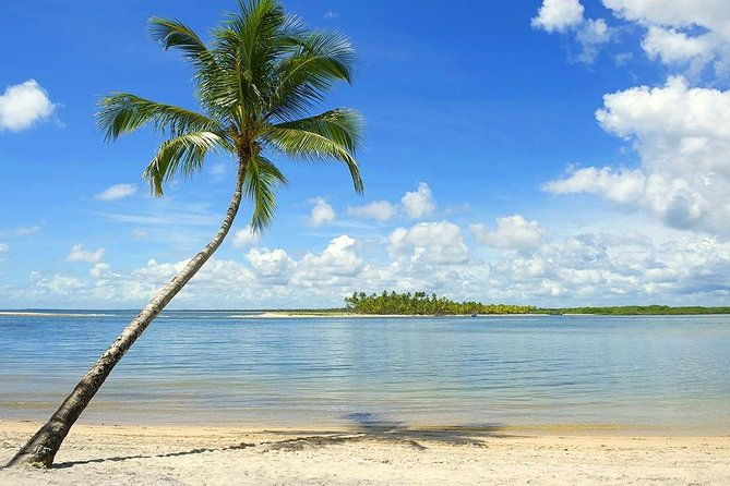 south-of-bahia-tour-private-multi-day-tour